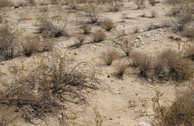 mls dirt pic
