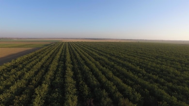 0 Road 16 unit 225148556, Zamora, CA 95698 - photo 2