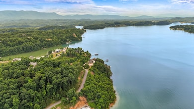 65 Stone Bridge Dr, Dandridge, TN 37725 - photo 6