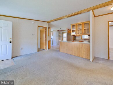 405 White Sands Dr, Media, PA 19063 - photo 4