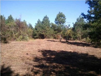 Food Plot