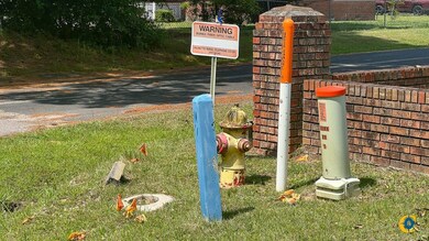 0 Peurifoy Rd unit 25512581, Walterboro, SC 29488 - photo 7