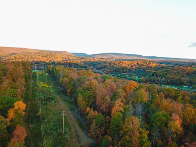 0 E Pleasant Valley Blvd unit LotWP001 19615403, Tyrone, PA 16686 - photo 7