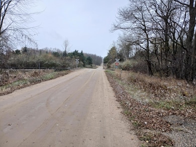 0 E Beyer Rd, Fountain, MI 49410 - photo 2