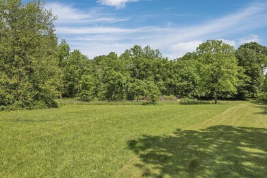 VIEW OF WOODS