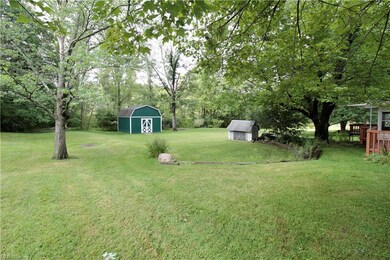 Back yard from left perspective