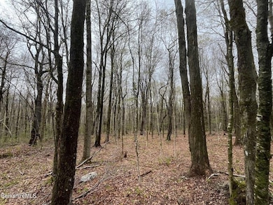 0 Manley Phelps Rd unit 73369553, Monroe, MA 01350 - photo 4