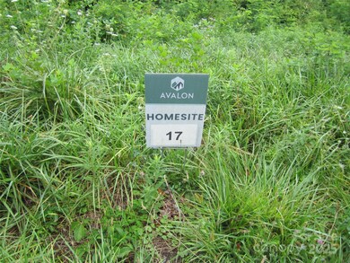 000 Signature Row Lot #17 Blvd unit 17, Waynesville, NC 28785 - photo 2