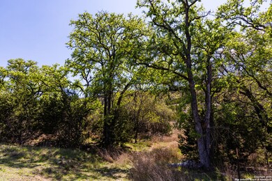 0 unit 1890104, Medina, TX 78055 - photo 7