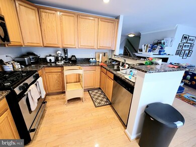 42226 Terrazzo Terrace, Stone Ridge, VA 20105 - photo 4