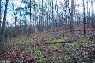Lot 70 & 71 Mill Mountain Rd, Romney, WV 26757 - photo 5