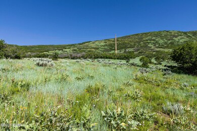 926 S Upland Loop unit 20, Midway, UT 84049 - photo 4