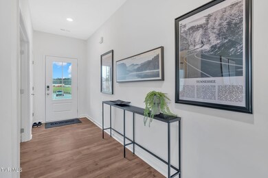 86 Ollie St, Johnson City, TN 37615 - photo 6