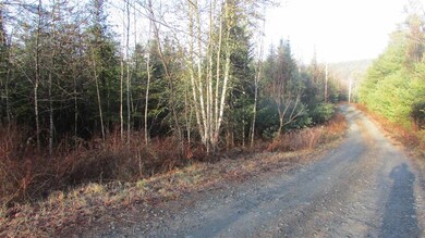 57-17 Jesse Ln, Littleton, NH 03561 - photo 2