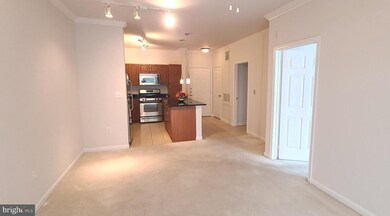 Bryson At Woodland Park unit 301, Herndon, VA 20171 - photo 6