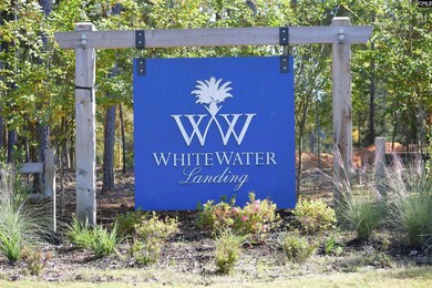 934 Salisbury Ct, Chapin, SC 29036 - photo 7