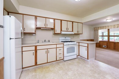 Meadowview_Ave_6342_Kalamazoo_49048-5