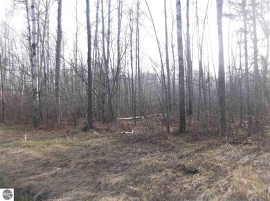 #10 Putnam Rd, Hale, MI 48739 - photo 3