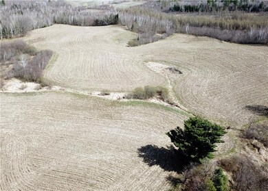 60 Acres Olesiak Rd, Weyerhaeuser, WI 54895 - photo 6