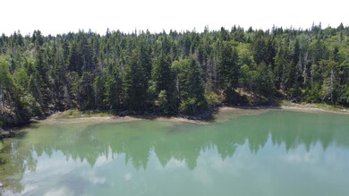 DJI_0589