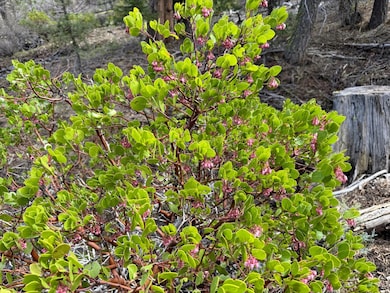 0 Yellowjacket Spring Rd unit 220202108, Beatty, OR 97621 - photo 4