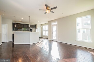 25233 Laureldale Terrace, Chantilly, VA 20152 - photo 7