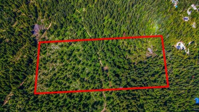 NNA E Deer Lake Way, Loon Lake, WA 99148 - photo 6