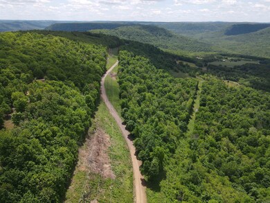 TBD Lick Fork Rd, Witt Springs, AR 72686 - photo 6