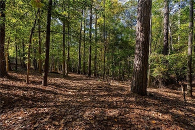 1320 Transart Pkwy, Canton, GA 30114 - photo 2