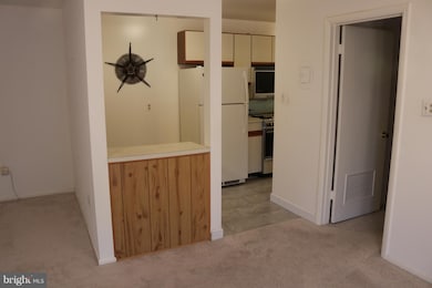 204 Park Terrace Ct SE unit 33, Vienna, VA 22180 - photo 5