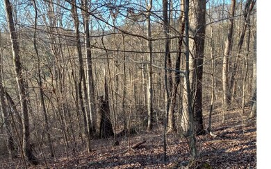 Additional View