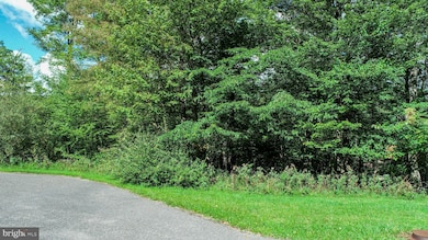 103 Birdsong Way, McHenry, MD 21541 - photo 3