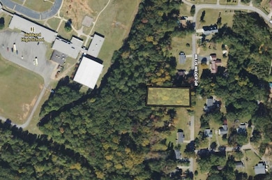 145 Willis Wilder Dr, Forsyth, GA 31029 - photo 2