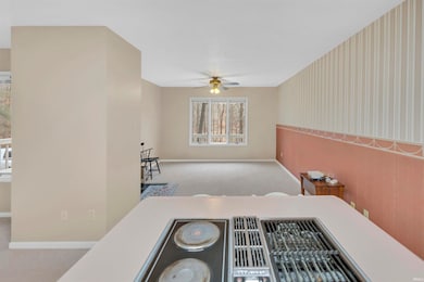 9401 W County Road 175 S, French Lick, IN 47432 - photo 5