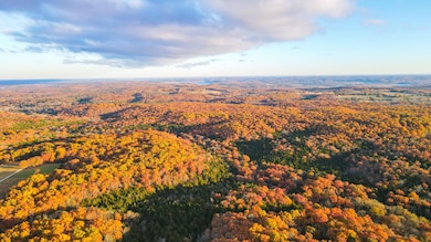 0000 County Road 64, Wheatland, MO 65779 - photo 4