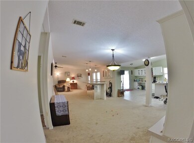 525 E Brandon St, Hernando, FL 34442 - photo 6