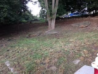 Site