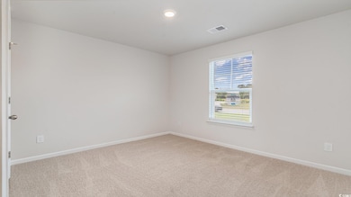 Unfurnished room featuring carpet
