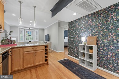 1669 Columbia Rd NW unit 203, Washington, DC 20009 - photo 6