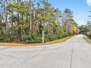 Lot 50 Carolina Bay Ct, Southport, NC 28461 - photo 7