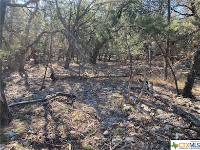 15896 Salado Dr, Temple, TX 76502 - photo 3