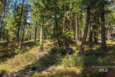 66 Truckee Trail, Cascade, ID 83611 - photo 6