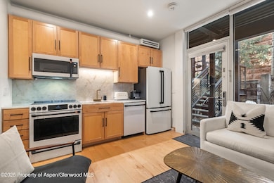 434 E Main St unit 102, Aspen, CO 81611 - photo 4