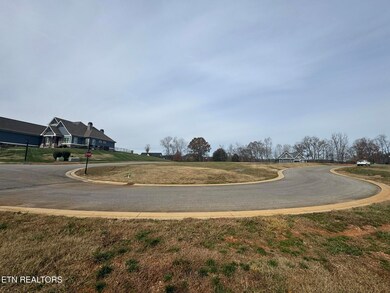 104 Azalea Ln, Loudon, TN 37774 - photo 5