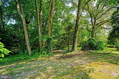 203 Chandler St, Milton, DE 19968 - photo 5