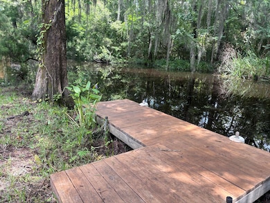 3323 Prices Bridge Ln, Walterboro, SC 29488 - photo 4