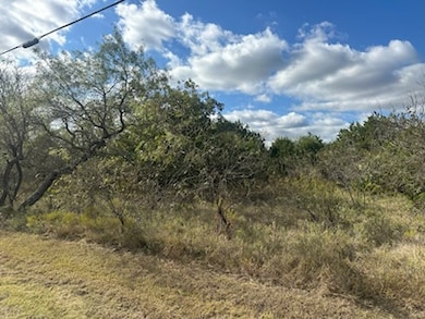 1607 White Bluff Dr, Whitney, TX 76692 - photo 3