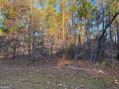 0 Oak Ridge Dr, Butler, GA 31006 - photo 2