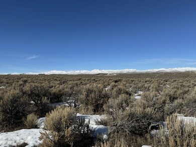 TBD Buchanan Ave, Elko, NV 89801 - photo 7