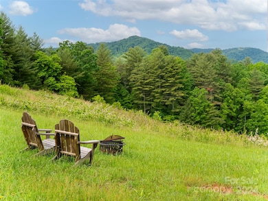 117 Icenhower Rd, Leicester, NC 28748 - photo 4